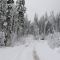 snowy road