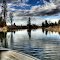 Fishing Adventure