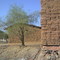 Casa tipica de tierra caliente