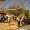 asistencia a un entierro en campo santo 11-04-2009
