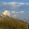 Grass and Sky