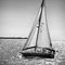 Delta Blues, Annapolis, MD