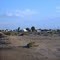 Salinas del Rey