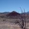 Painted Hills, Eastern Oregon