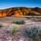 The main act in the Painted Hills of Oregon