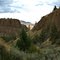 Photo by Bill Crowell, Sutton Mountain - Black Canyon