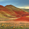 The Painted Hill. Part of the John Day Fiossil Beds