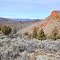 Along Rocky Road
