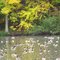 Kincaid Lake