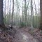 Chestnut Branch Park 9-11 Trail