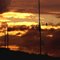 "Si llego tarde a casa, no estaba muerto, ni andaba de parranda, estaba placidamente disfrutando el panorama¡¡¡¡ el pajarraco¡¡¡.........(If I come home late, was not dead, neither party, was just enjoying the view",..... the bird)