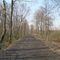 Wallkill rail trail