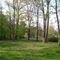 Wooster Memorial Grove