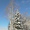 Winterscape, Findlay, Ohio