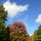 Punderson State Park Campground