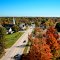 Aurora in the Fall