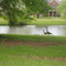 Homestead Pond
