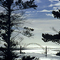 Ocean Bridge Newport