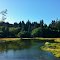 Yaquina Bay rd. N.P. OREGON