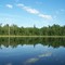 Serene shoreline