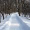 Jonathan Hiking Trail / Chaska, Mn.