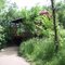 Hiking trail under covered bridge  Chaska,Mn