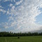 Hayfields of Northern Minnesota