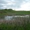 May 2006 - Dayton, Minnesota. Marsh in Elm Creek Park Reserve.