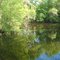 May 2006 - Dayton, Minnesota. Lush reflections in the creek at Elm Creek Park Reserve.