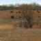 Rolling Hills, Rum River Nature Area, Anoka, Minnesota