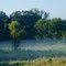 Morning Mist, Kelsey Round Lake Park, Andover, Minnesota