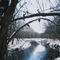Christmas on the Banks of Coon Creek