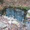 Bear Springs