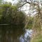 Middle Creek