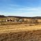 Farm, late winter