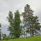 Minnesota roadside vista