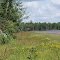 Laurentian Divide