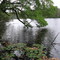Kendall Lake at Millbank