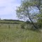 Luce Line Bike-Walk Trail, Cosmos to Cedar Mills, MN