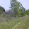 Luce Line Bike-Walk Trail, Cosmos to Cedar Mills, MN