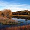 MINNESOTA RIVER BACKWATERS  CHASKA,MINNESOTA
