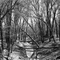 wild life reserve trail