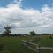 Homestead observation tower