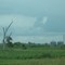 Old tree and silos on 25