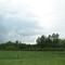 Trees south of 218th
