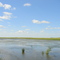 LAKE HENRY  DE SMET