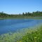 Lake in Northern Minnesota