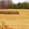 Bales, Nowthen, Minnesota