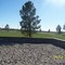 New Park between Zaragoza Rd. and Pebble Hills Blvd.