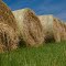 Hay Bales, Lonsdale MN